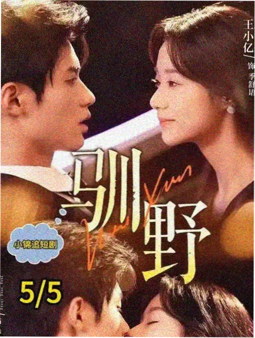 沉默的证人律政剧在线观看完整版海报